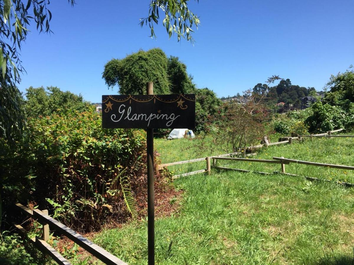 La Guapa Hostel Puerto Varas Ngoại thất bức ảnh